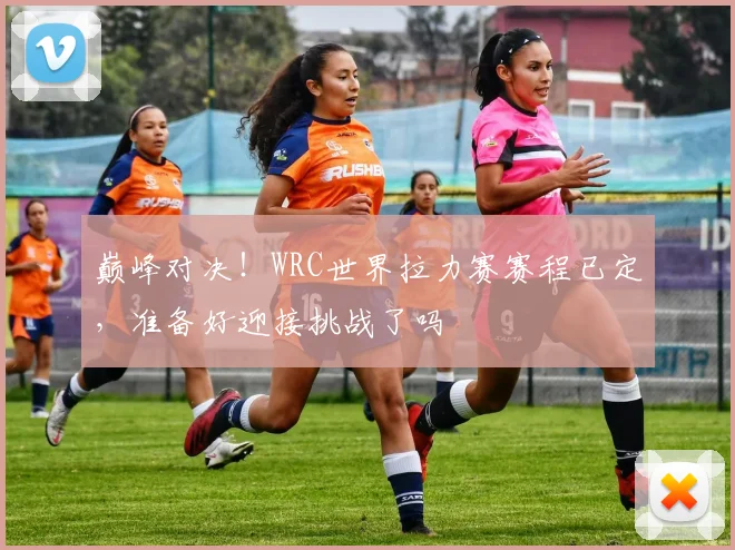 巅峰对决！WRC世界拉力赛赛程已定，准备好迎接挑战了吗